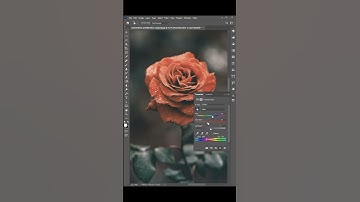 How to change flowers color in photoshop (2024) | #photoshop #tutorial #shorts