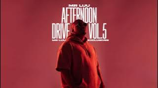 Mr Luu   Afternoon Drive Vol 5 Mr Luu Exclusives