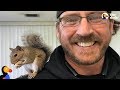 Baby Squirrels Rescued by Man Visit Him After He Sets Them Free | The Dodo