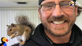 Baby Squirrels Rescued by Man Visit Him After He Sets Them Free | The Dodo