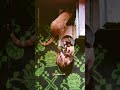 Meal time😸#tabbyandcali #catvideos #catlover #catsofinstagram #catdad #cateating #kitten #catcouple