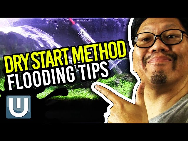 Dry Start Method Flooding Tips - Important and Must Know