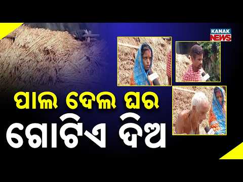ପାଲ ଦେଲ ଘର ଗୋଟିଏ ଦିଅ Heavy Rain In Odisha | House Collapses, Family Receives Tarpaulin & Food Aid