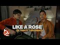 Millenial Throwback Cover | Like A Rose