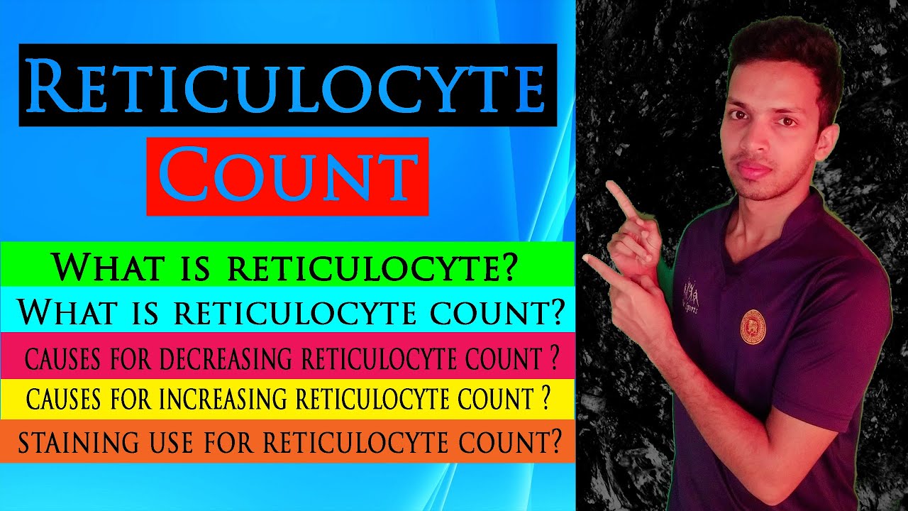 Reticulocyte count (clear overview) - YouTube