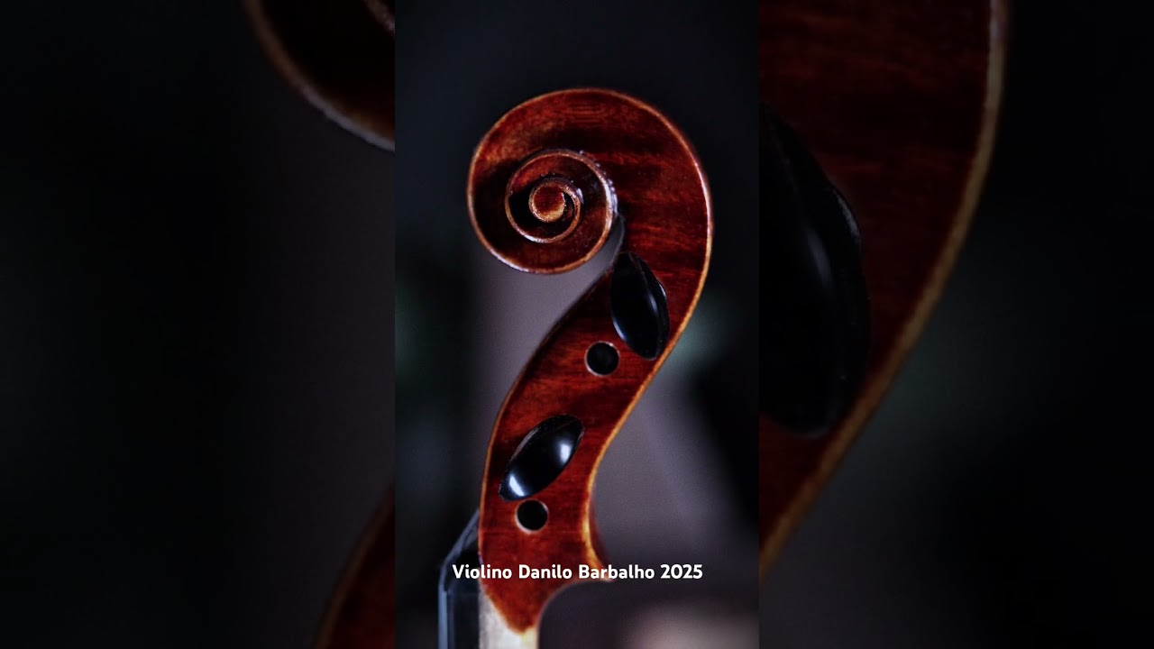 Violino Danilo Barbalho. inspiração no medice.