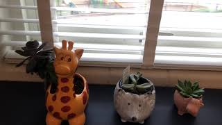 1st Grade Classroom Tour 2021-2022