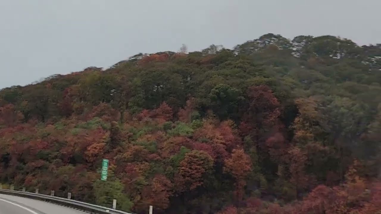 More 2023 Fall Colors (Ohio & Pennsylvania) 🍂