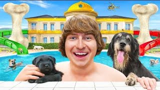 I Built a 5-Star Luxury Dog Hotel!