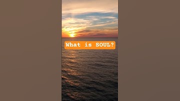 What Is the Soul? | Plato & Modern Thought (Phi)