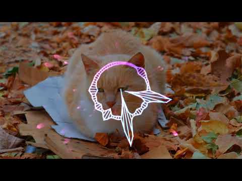 Daniel Caesar feat. John Mayer - Superposition