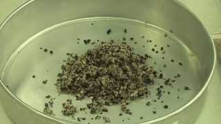 Rick Machen - Cattle Nutrition - Cottonseed Hulls