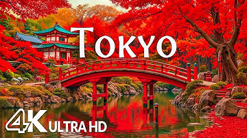 Tokyo, Japan in Autumn 4K 🍁 Red Maple Leaves, Ancient Temples & Tranquil Fall Vibes 🍂 Relaxing Music