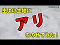 生地 マスク 抗ウイルス【公式】BUGOFF　着る虫よけバグオフ　アリ実験動画