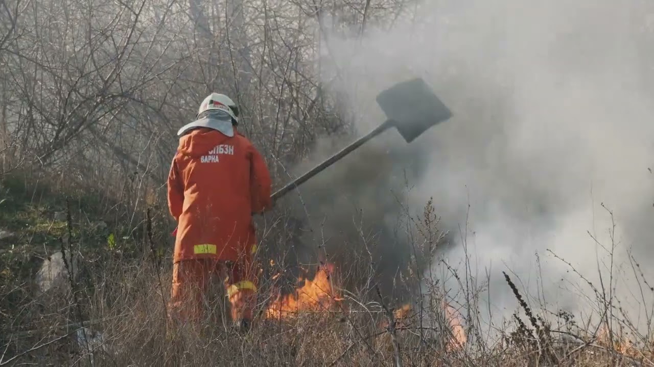 Japan's Wildfire Crisis: Thousands Evacuated!