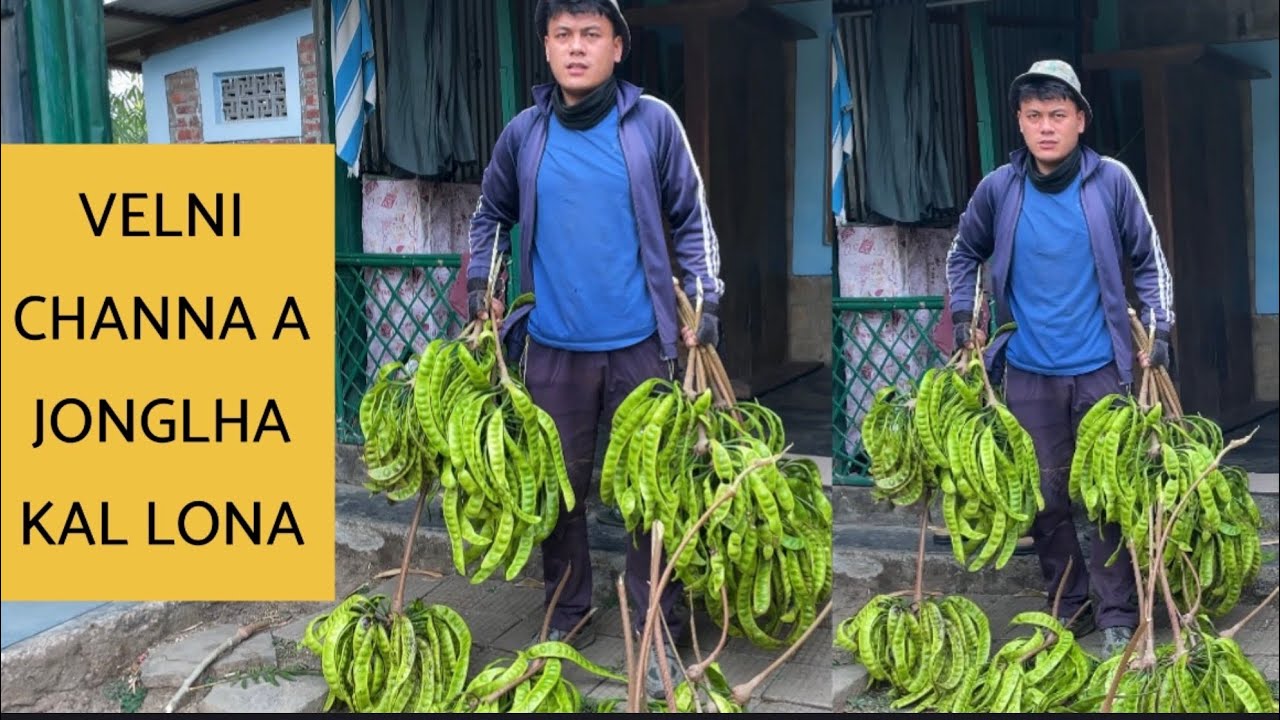 JONGLHA lona vlog || 😋….? @boikhokuki 