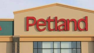 Pet Land Review