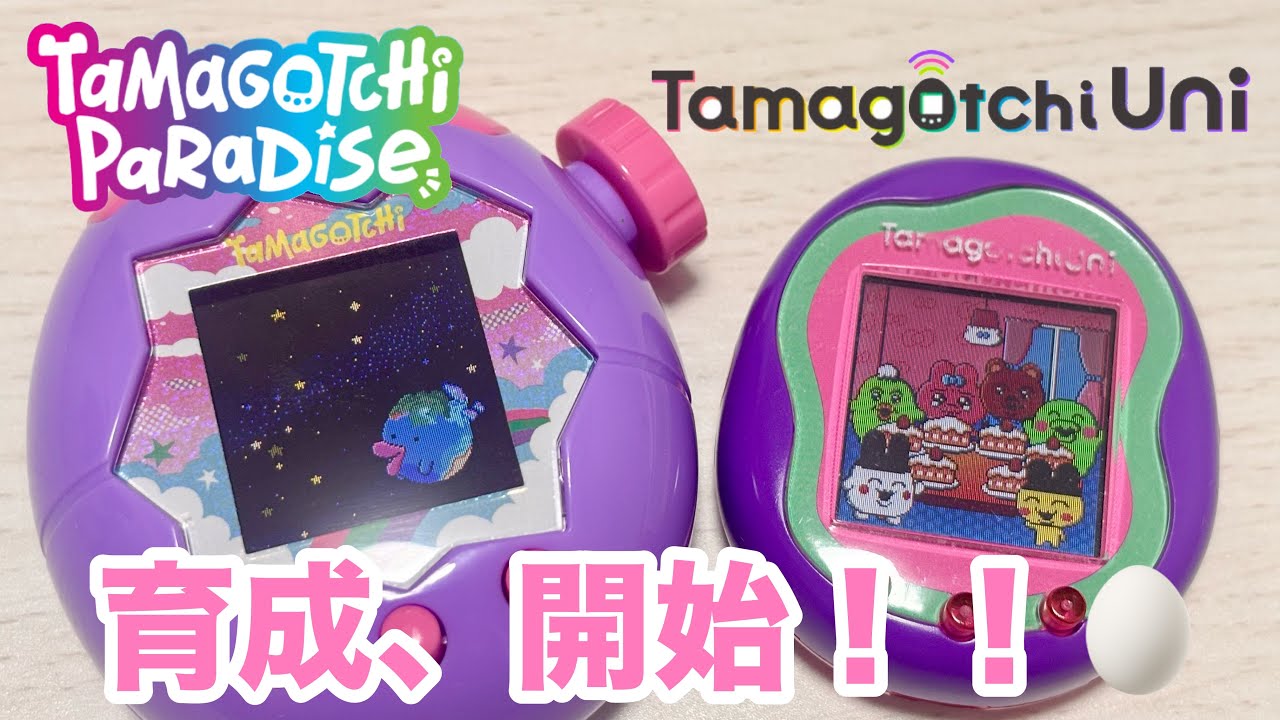 たまごっちパラダイスと可哀想に！ランドで遊んだよ〜🥚🎀