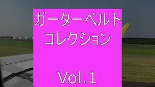 ガーターベルト・コレクション　Vol 1