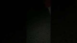 Fun With Satghare Bros