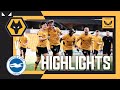 Under 18s claim historic win against Brighton! | Wolves 3-1 Brighton | FA Youth Cup Highlights