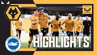 Under 18s claim historic win against Brighton! | Wolves 3-1 Brighton | FA Youth Cup Highlights