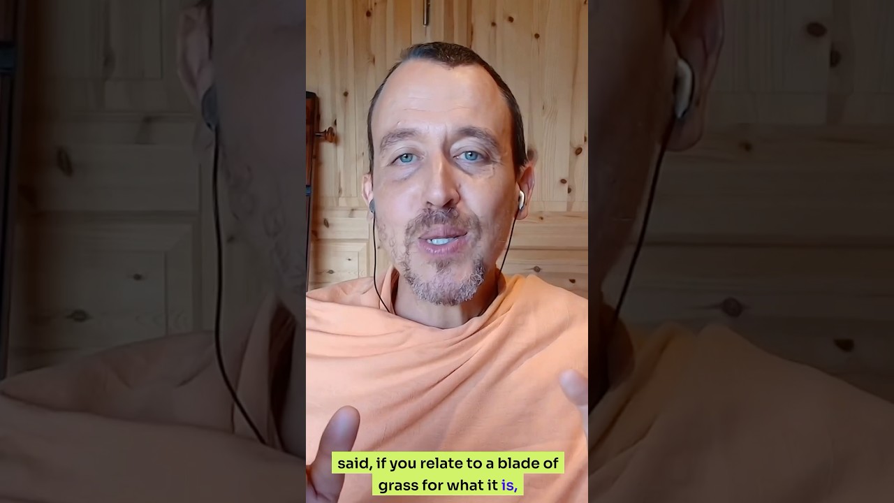 Согнись как трава