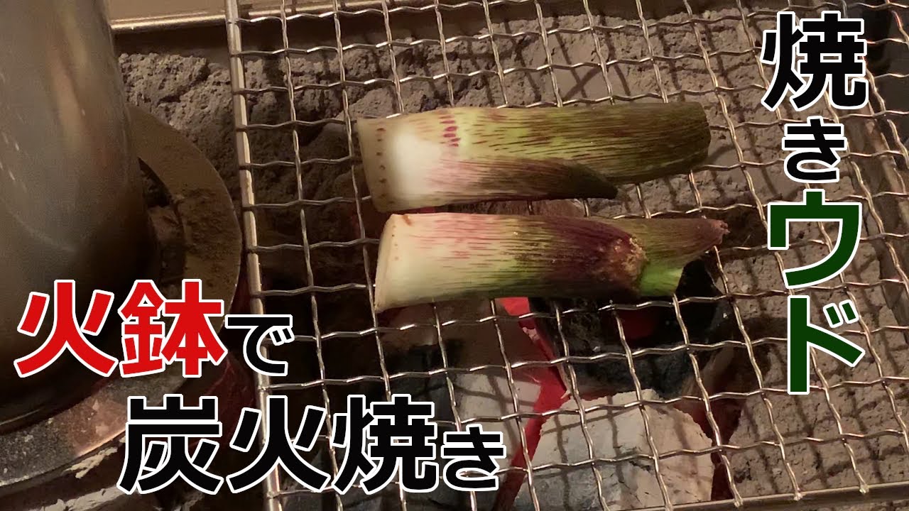 春の山菜 ミニ火鉢で焼きウドを楽しむ 山うどの２番目に美味しい食べ方 絶品レシピ Youtube