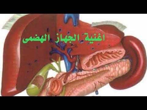 اغنية ١ الجهاز الهضمي للصف الرابع الابتدائى الترم الثاني