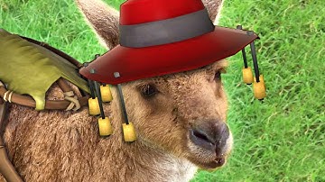 If TF2 turned into a Zoo