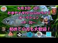 ライブオークション 5月3日(日)