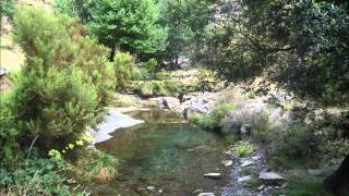 A Caminho da Drave (Musica: Adriano Correia De Oliveira)