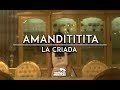 Amandititita  la criada tema oficial de las malcriadas