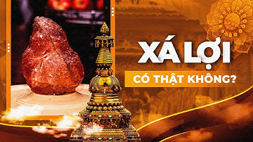 Cận Cảnh Xá Lợi Phật Giáo và Những Bí Ẩn Trong Đó | Vũ Trụ Nguyên Thủy