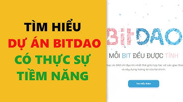 Tìm hiểu về dự án BitDao (BIT) có thực sự tiềm năng- achi kiếm tiền online