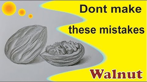 How to draw walnut for beginners  || draw walnut step by step || walnut