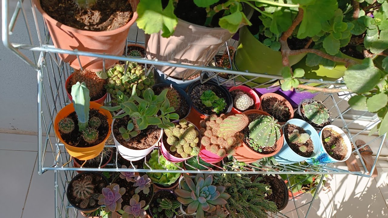 Yeni Aldığım Çicekliğim 🧿 Balkon# Temizliği 🌺 Çiçek Bakımı #aboneol #plants #keşfetbeni #aboneol #♥️