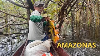 Pesca ribeirinha com meu pai no Amazonas…