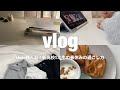 studyvlog / shein購入品と勉強と春休みの過ごし方/ファンレター紹介