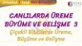 Biyoloji - Bitkilerde Üreme ve Gelişme Nedir? Nasıl Olur ? Ders Notu ve Konu Anlatımı ile ilgili video