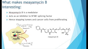 Total Synthesis of Meayamycin B