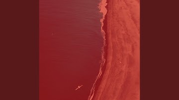 Scintillating Music for Deep Focus