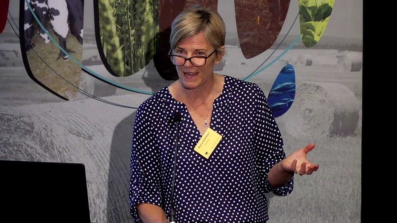 Nancy Schellhorn - RapidAIM