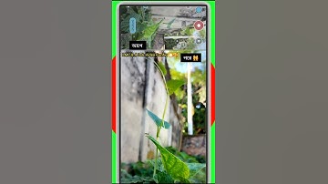 Lmc 8.4 Video Config 🎦 lmc r17 new config 🌈 #gcamlmc8 #smartphone #camera #googlecamera #shorts