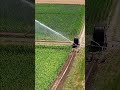 #irrigationdesign