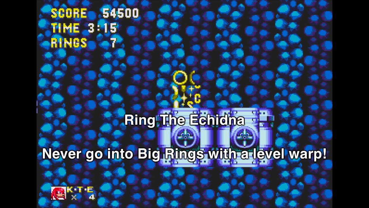 Ring The Echidna