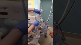 Setting up the inhaled nitric oxide in NICU