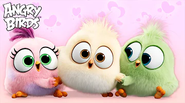 Angry Birds | Every ADORABLE Hatchlings Moment