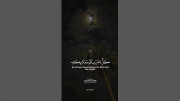 تلاوة الشيخ ياسر الدوسري🤍🍃.