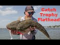 Rod  reel setups for chasing trophy flathead